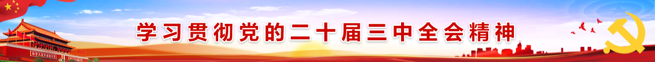 学习贯彻党的二十届三中全会精神