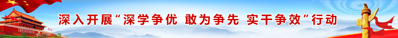 深入开展“深学争优 敢为争先 实干争效”行动