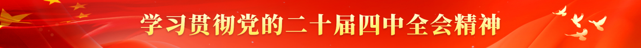 学习贯彻党的二十届四中全会精神